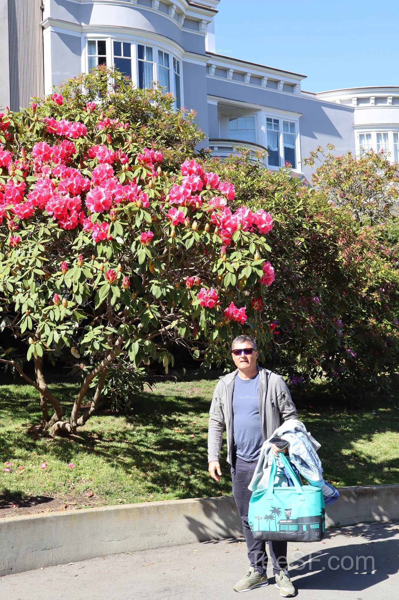 palace Lagoon And Flowers during a Stripe Sessions 2026 visit in San Francisco.